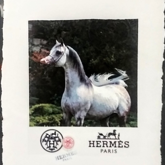 Fairchild Paris Other - HERMÉS, Arabian Stallion Print, By Fairchild Paris
